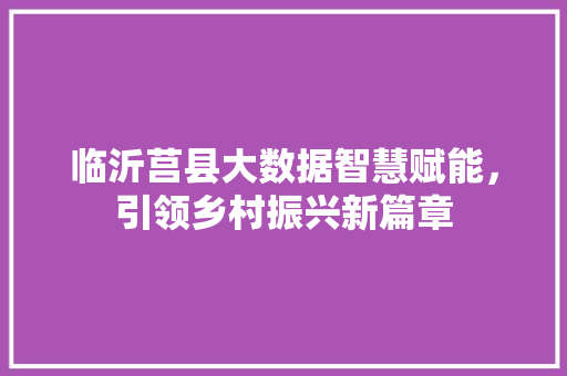 临沂莒县大数据智慧赋能，引领乡村振兴新篇章
