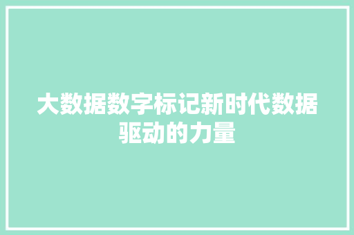 大数据数字标记新时代数据驱动的力量