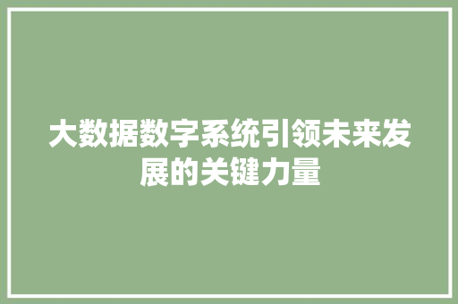 大数据数字系统引领未来发展的关键力量