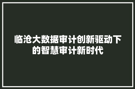 临沧大数据审计创新驱动下的智慧审计新时代