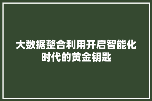 大数据整合利用开启智能化时代的黄金钥匙