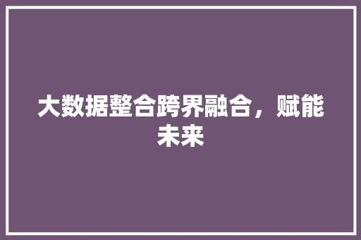 大数据整合跨界融合，赋能未来