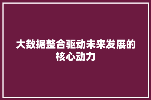 大数据整合驱动未来发展的核心动力