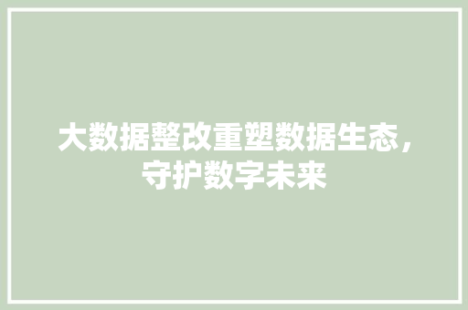 大数据整改重塑数据生态，守护数字未来  第1张
