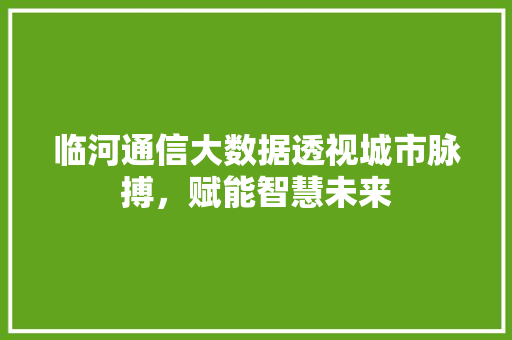 临河通信大数据透视城市脉搏，赋能智慧未来