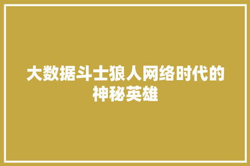 大数据斗士狼人网络时代的神秘英雄