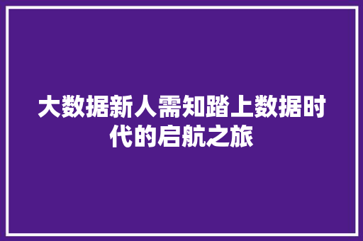 大数据新人需知踏上数据时代的启航之旅  第1张