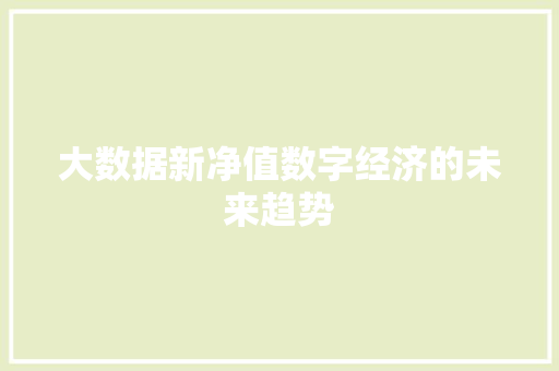 大数据新净值数字经济的未来趋势  第1张