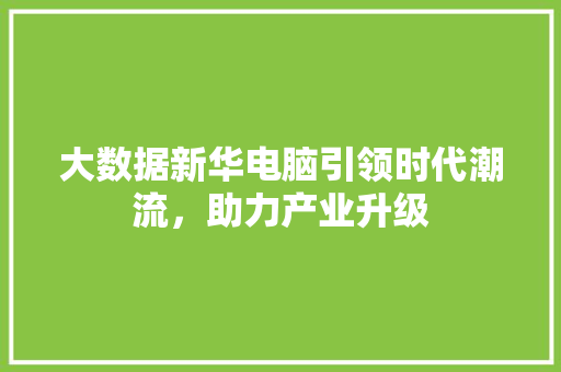 大数据新华电脑引领时代潮流，助力产业升级