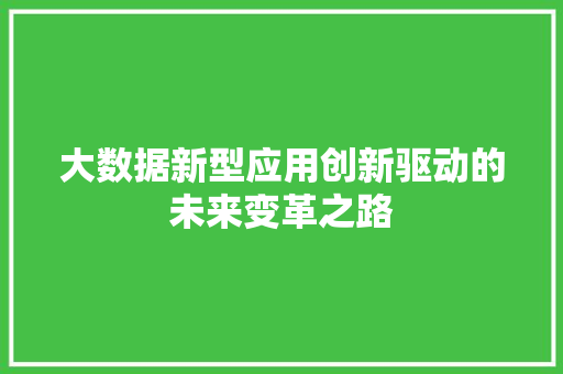 大数据新型应用创新驱动的未来变革之路  第1张