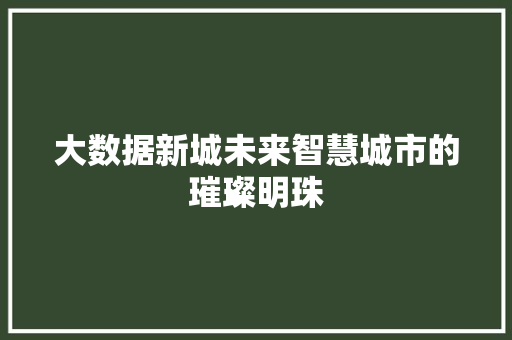 大数据新城未来智慧城市的璀璨明珠  第1张