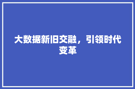 大数据新旧交融，引领时代变革