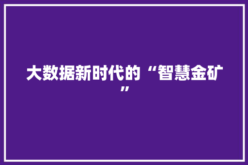 大数据新时代的“智慧金矿”  第1张