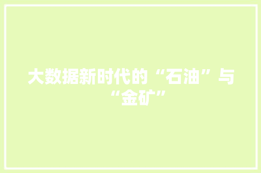 大数据新时代的“石油”与“金矿”
