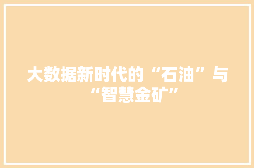 大数据新时代的“石油”与“智慧金矿”  第1张