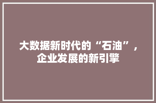 大数据新时代的“石油”，企业发展的新引擎  第1张