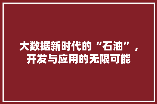 大数据新时代的“石油”，开发与应用的无限可能  第1张