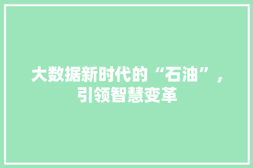 大数据新时代的“石油”，引领智慧变革