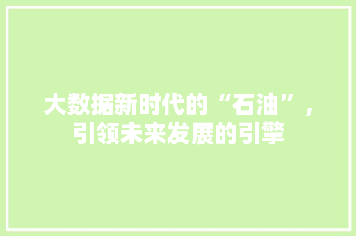 大数据新时代的“石油”，引领未来发展的引擎  第1张