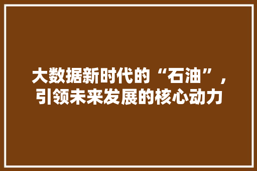 大数据新时代的“石油”，引领未来发展的核心动力  第1张