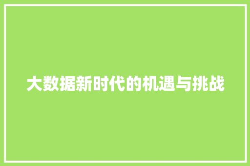 大数据新时代的机遇与挑战  第1张