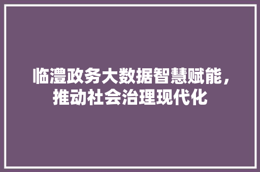 临澧政务大数据智慧赋能，推动社会治理现代化