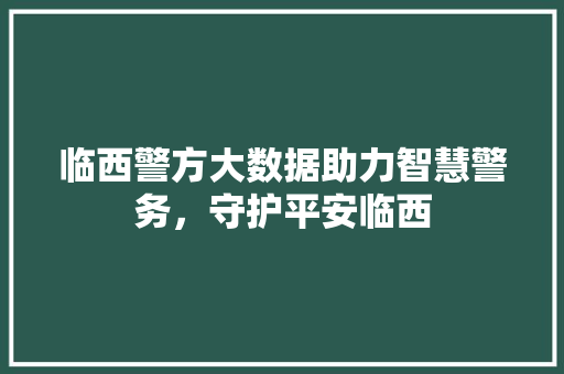 临西警方大数据助力智慧警务，守护平安临西