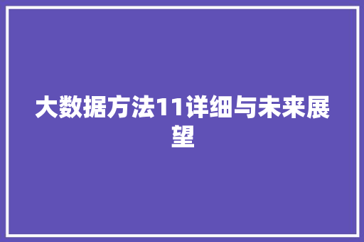 大数据方法11详细与未来展望  第1张