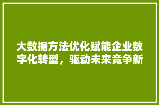 大数据方法优化赋能企业数字化转型，驱动未来竞争新格局