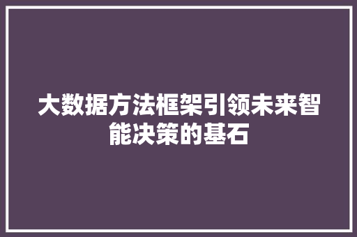 大数据方法框架引领未来智能决策的基石  第1张