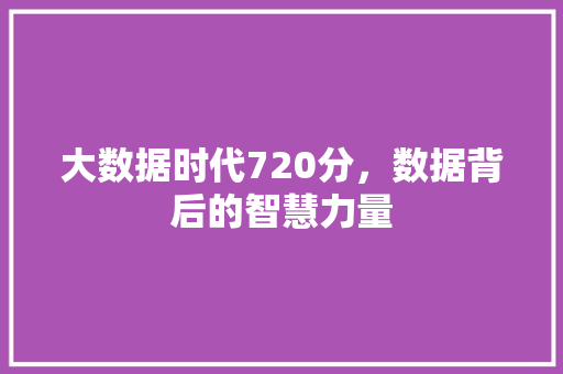 大数据时代720分，数据背后的智慧力量