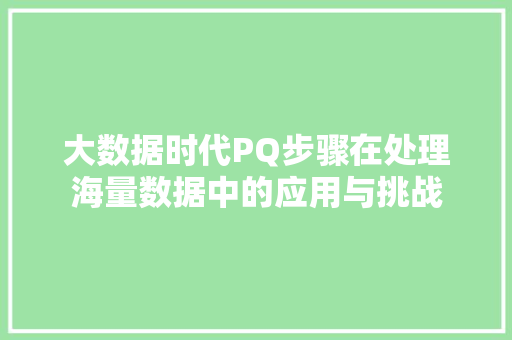 大数据时代PQ步骤在处理海量数据中的应用与挑战
