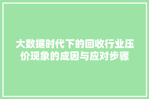 大数据时代下的回收行业压价现象的成因与应对步骤