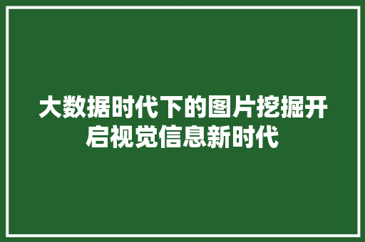 大数据时代下的图片挖掘开启视觉信息新时代