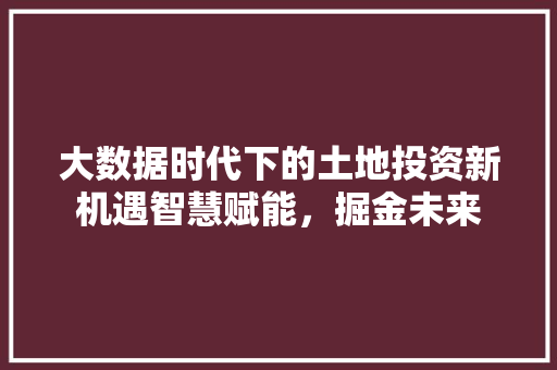 大数据时代下的土地投资新机遇智慧赋能，掘金未来