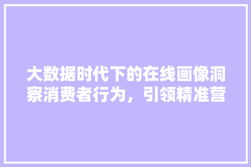 大数据时代下的在线画像洞察消费者行为，引领精准营销  第1张