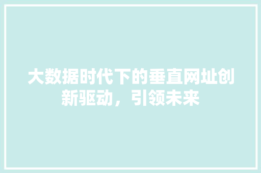 大数据时代下的垂直网址创新驱动，引领未来