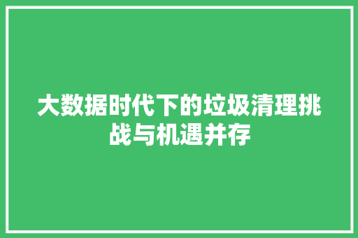大数据时代下的垃圾清理挑战与机遇并存