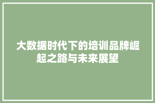 大数据时代下的培训品牌崛起之路与未来展望  第1张