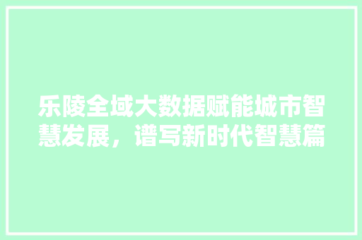 乐陵全域大数据赋能城市智慧发展，谱写新时代智慧篇章