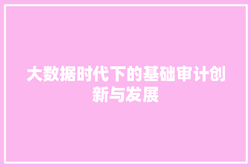 大数据时代下的基础审计创新与发展  第1张