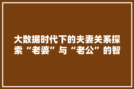大数据时代下的夫妻关系探索“老婆”与“老公”的智慧生活  第1张
