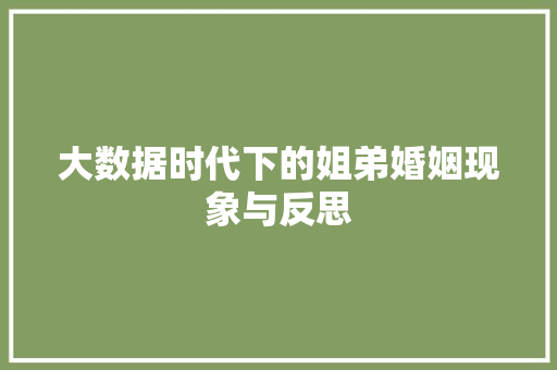 大数据时代下的姐弟婚姻现象与反思  第1张