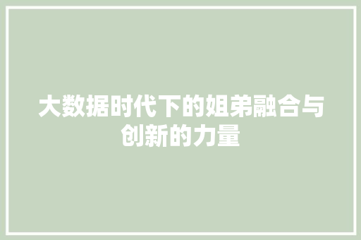 大数据时代下的姐弟融合与创新的力量