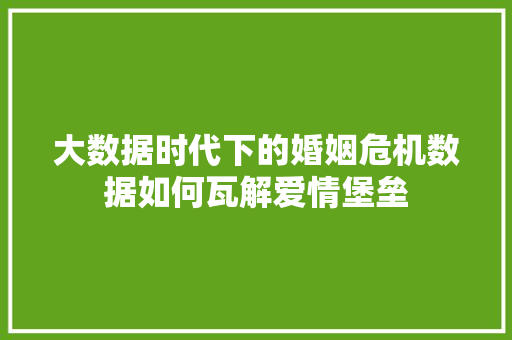 大数据时代下的婚姻危机数据如何瓦解爱情堡垒