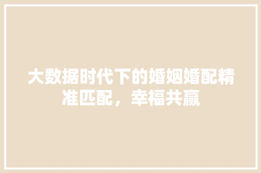 大数据时代下的婚姻婚配精准匹配，幸福共赢