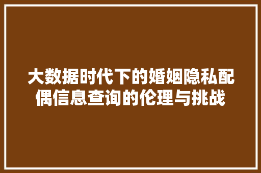 大数据时代下的婚姻隐私配偶信息查询的伦理与挑战  第1张