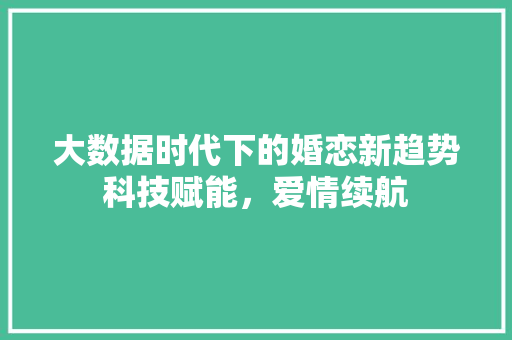 大数据时代下的婚恋新趋势科技赋能，爱情续航