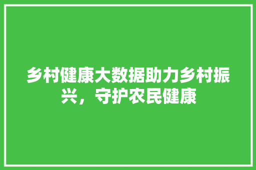 乡村健康大数据助力乡村振兴，守护农民健康  第1张