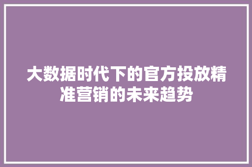 大数据时代下的官方投放精准营销的未来趋势